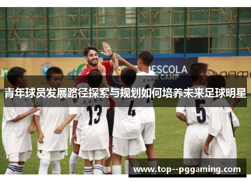 青年球员发展路径探索与规划如何培养未来足球明星