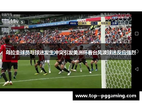 乌拉圭球员与球迷发生冲突引发美洲杯看台风波球迷反应强烈